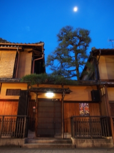 Wooden house with pine tree, in Gion district, Kyoto, Japan. 