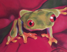 Red-Eyed Tree Frog on Red Foliage