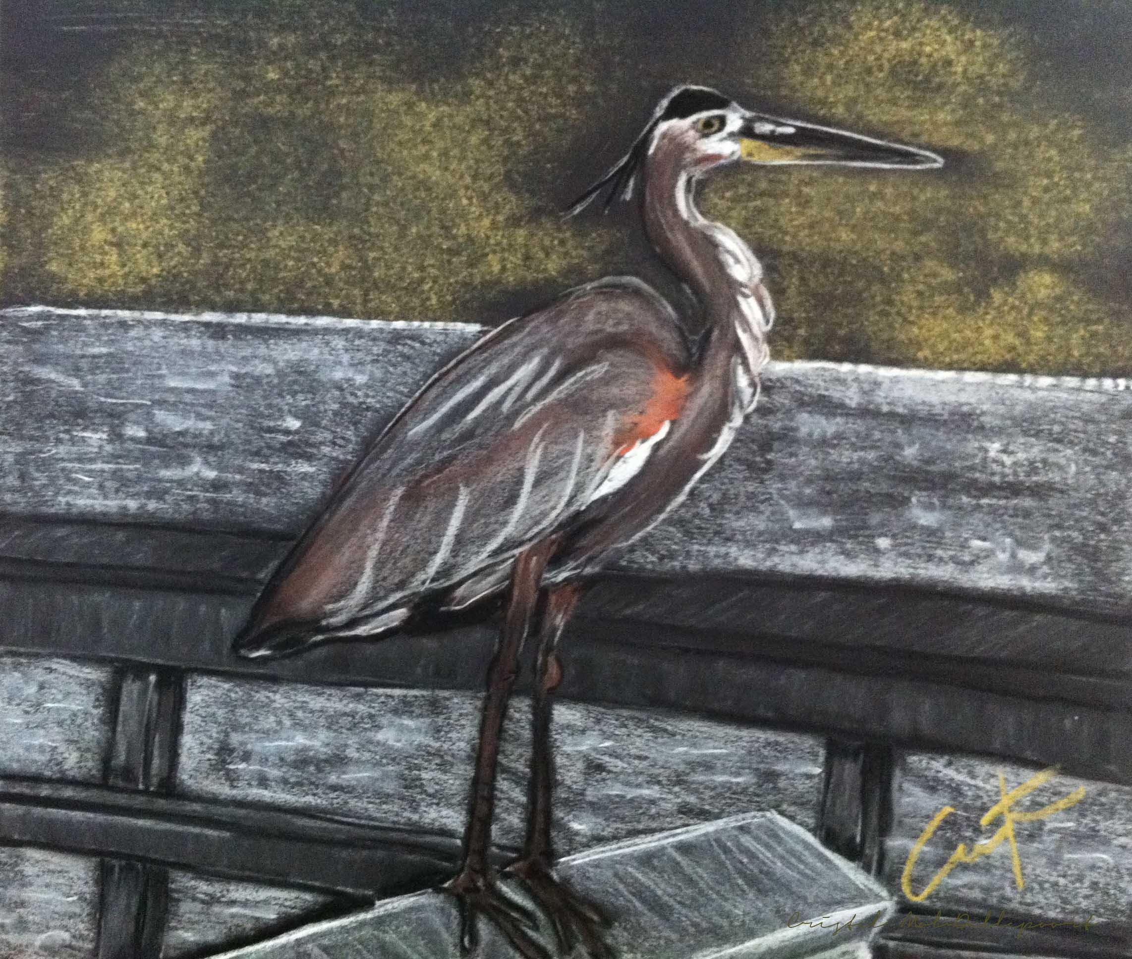 Heron on Hunting Island Fishing Dock Pastel Painting