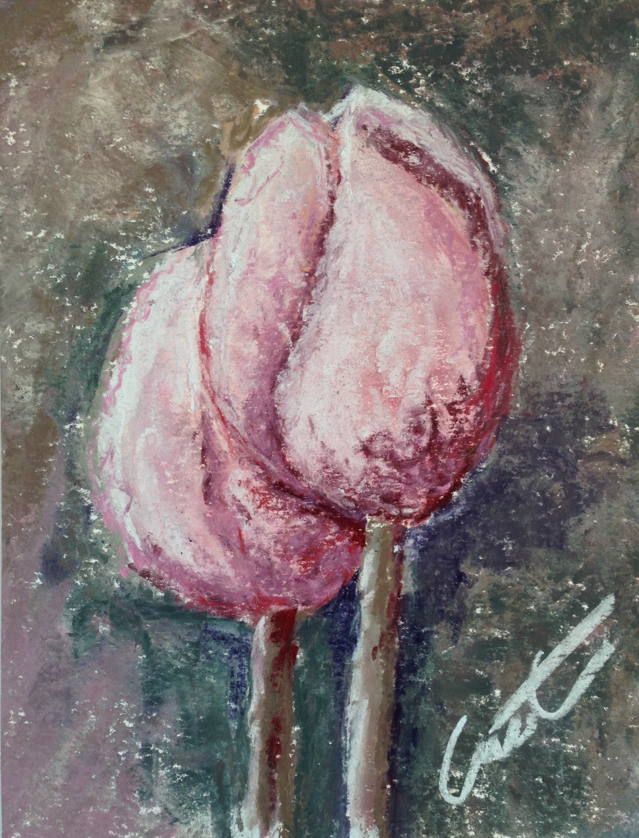 Two Tulips Pastel Painting