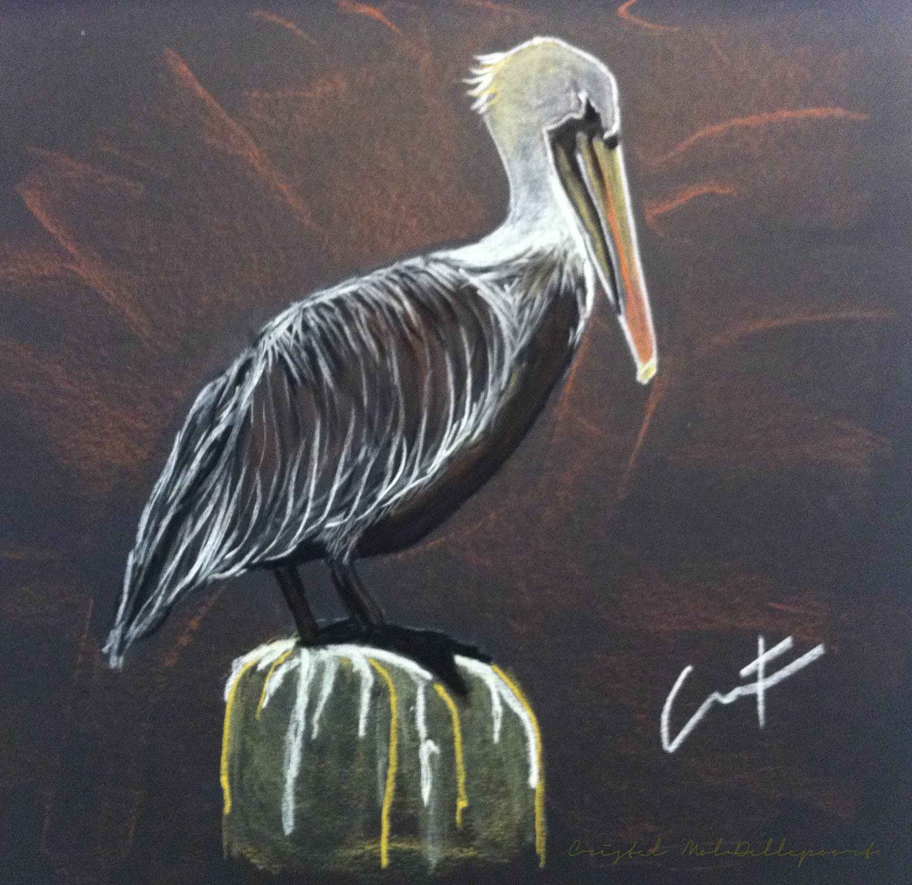 Brown Pelican at Shrimp Dock pastel painting