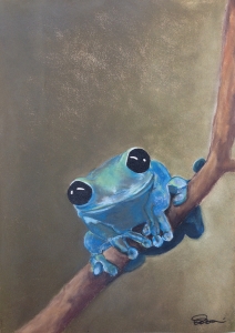 Black-eyed Blue Tree Frog on a Branch.