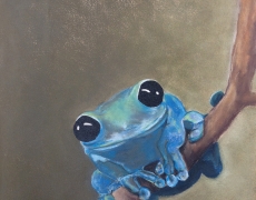 Blue Tree Frog on a Branch