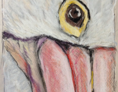 Pelican’s Gaze – Study in Pastel