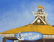 The Nalu Surf Shack