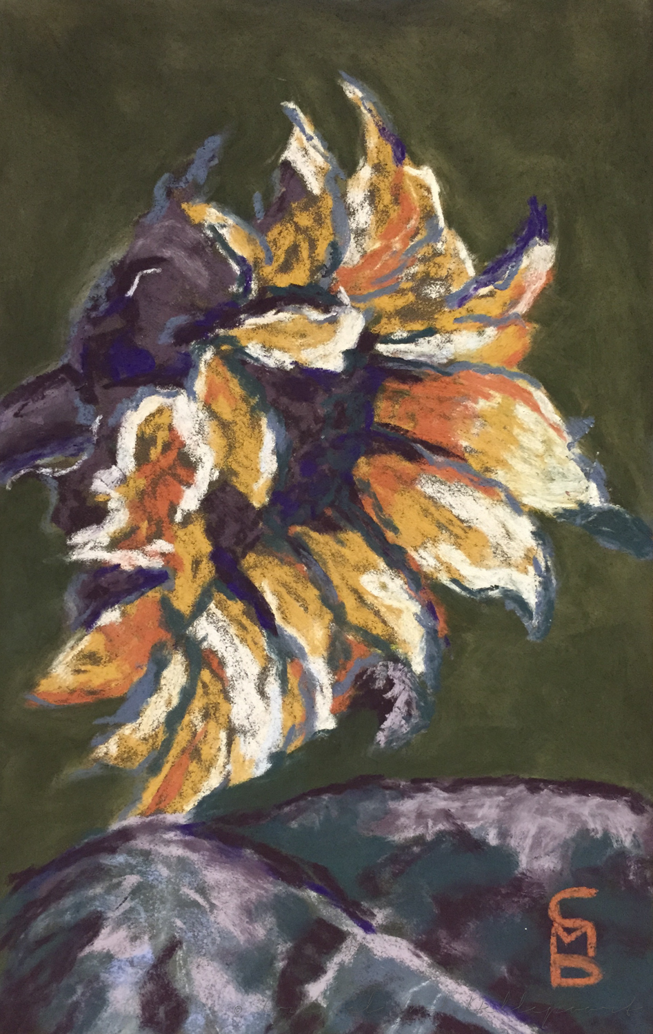 Wilting Sunflower pastel painting