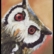 Peekaboo (Owl)